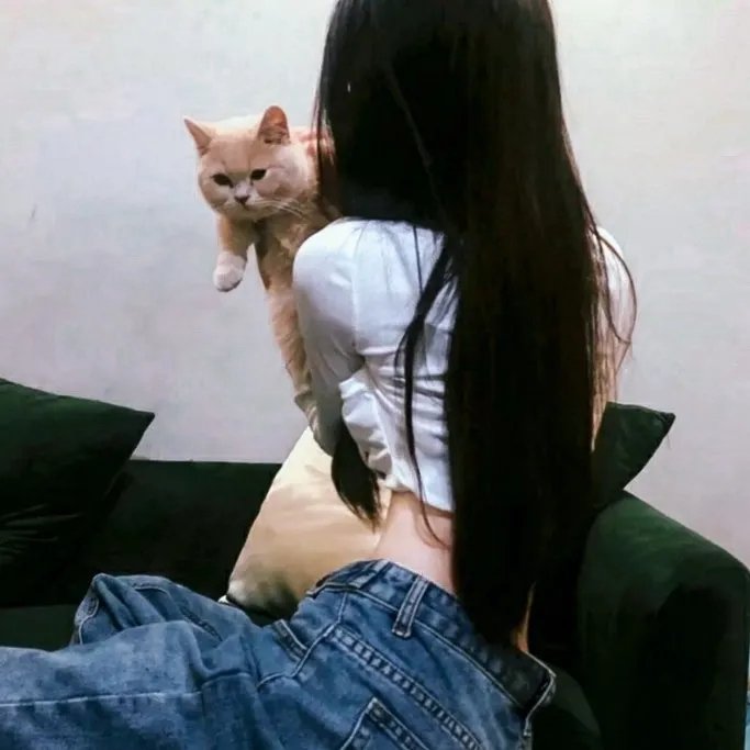 我的冤家是条狗