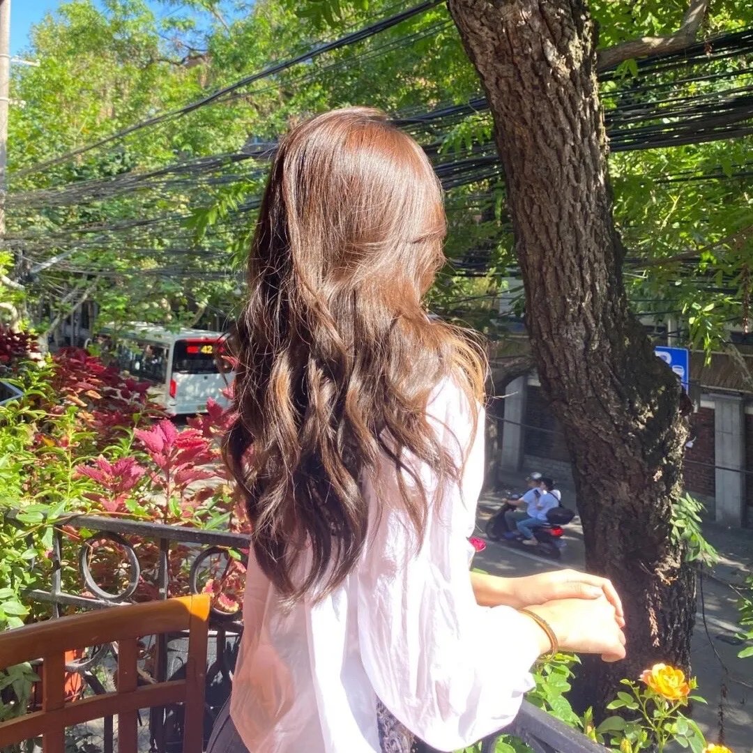 我会回来过圣诞